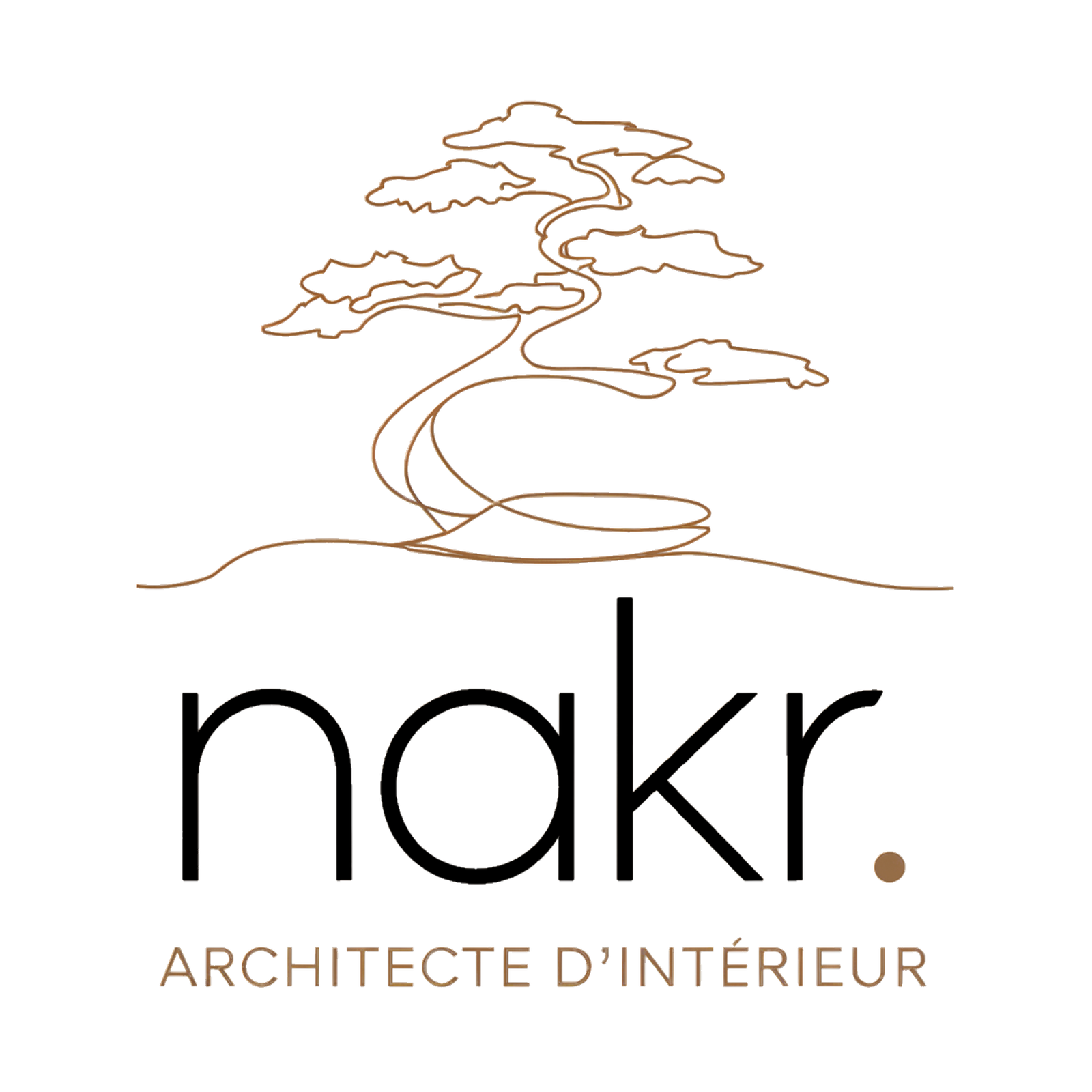 nakr. Logo